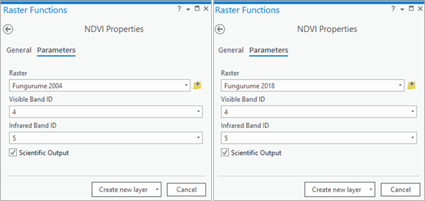 NDVI Raster Function properties