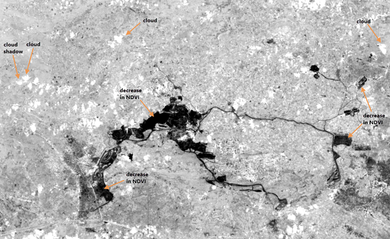 Bright areas are clouds or cloud shadow and dark areas are loss in NDVI.