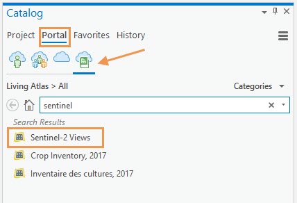 Add the Sentinel-2 Views image service to your