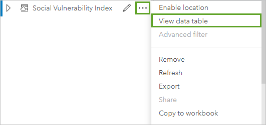 View Data Table