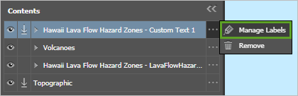 Manage Labels selected in the text layer's options menu