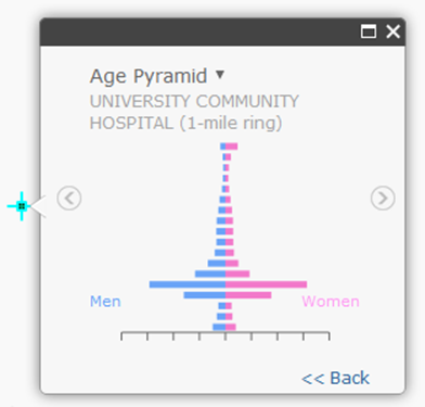 Example of an Age Pyramid Infographic