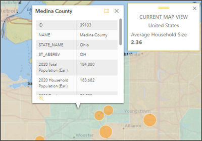 Examples of demographic data