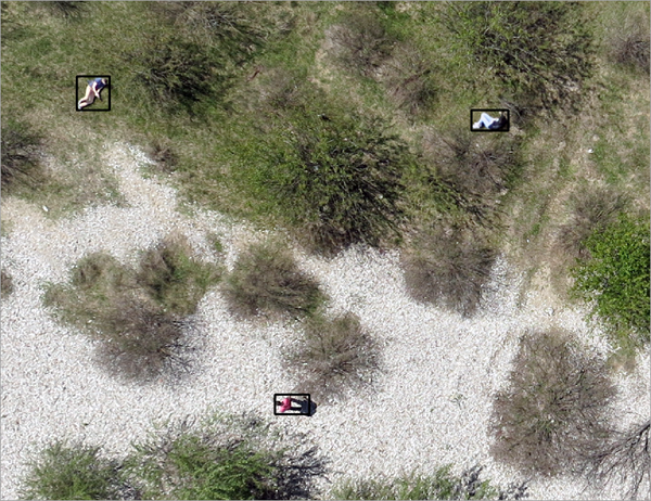 Banner image for Human Detection (Drone Imagery)