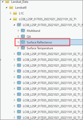 Select Surface Reflectance of L2A imagery.