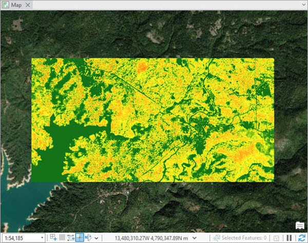 Canopy height image