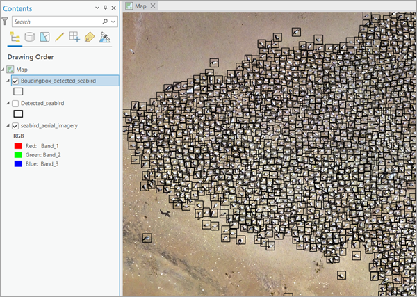 Bounding box detections