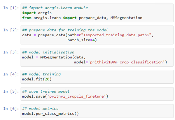 Fine-tune the model using ArcGIS API for Python