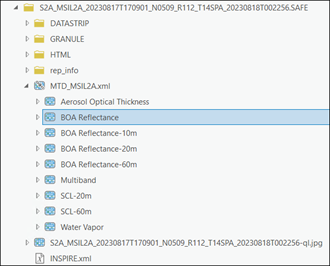 Select the BOA Reflectance product.