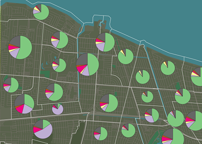 Mapa de distrito censal que utiliza simbología de gráfico circular