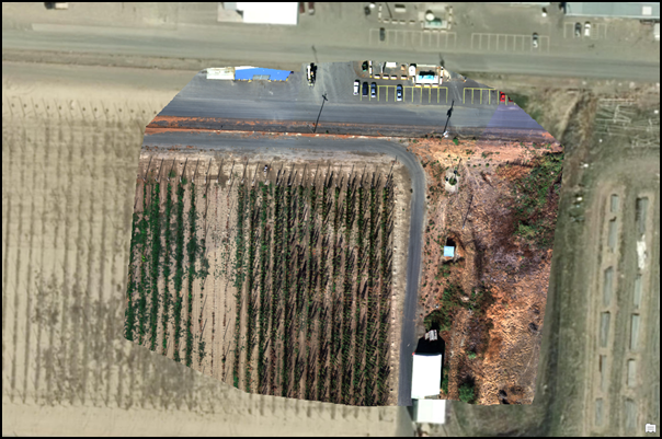 Ortomosaico corregido radiométricamente