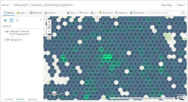 Configuración de agregación modificada y etiquetas visualizadas en un mapa web