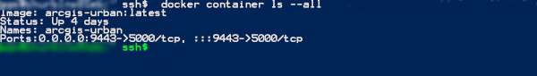 Ejemplo de salida de la comprobación de la consola del docker