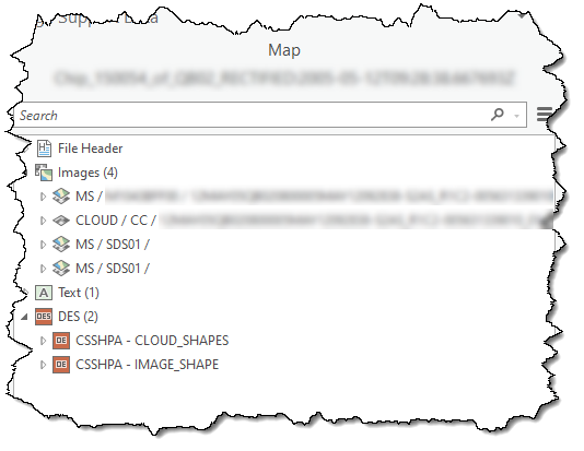 Fenêtre Image Support Data (Données de prise en charge des images)