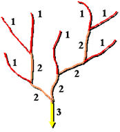 Méthode de hiérarchisation d’écoulement de Strahler Méthode de hiérarchisation d’écoulement de Strahler