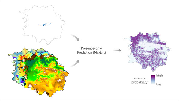 Illustration de l’outil Prévision de présence uniquement (MaxEnt) Illustration de l’outil Prévision de présence uniquement (MaxEnt)
