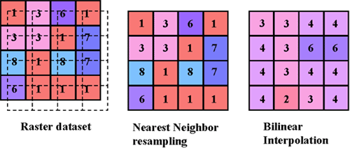 Exemples de la technique de rééchantillonnage du voisin le plus proche et de l’interpolation bilinéaire Exemples de la technique de rééchantillonnage du voisin le plus proche et de l’interpolation bilinéaire