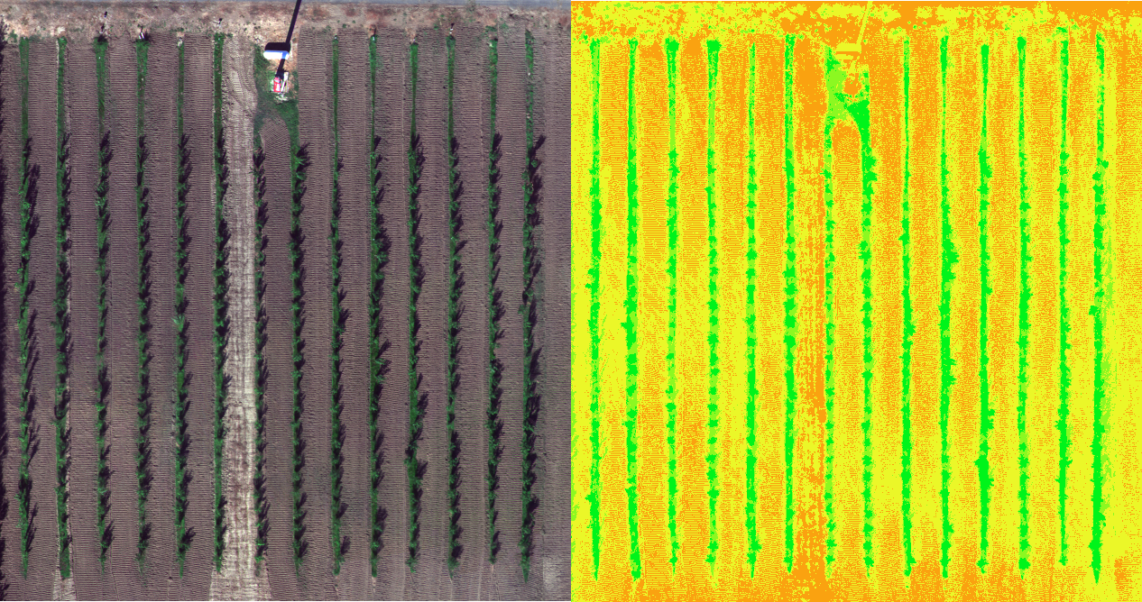 Exemple de produit de type Orthomosaïque vraie multispectrale Exemple de produit de type Orthomosaïque vraie multispectrale