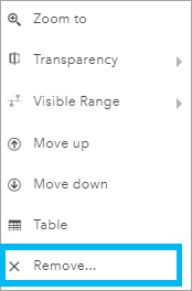 Menu Options de couche avec l’option Supprimer mise en surbrillance