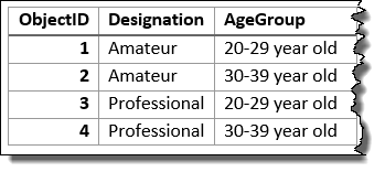 La couche en entrée synthétisée à l’aide des champs Designation (Désignation) et Age Group (Tranche d’âge)