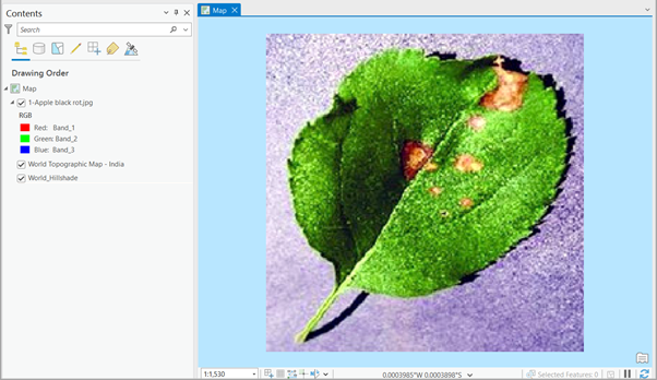 Image ajoutée dans la fenêtre Contenu Image ajoutée dans la fenêtre Contenu