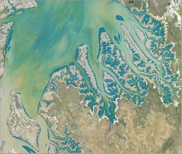 Image de bannière du modèle