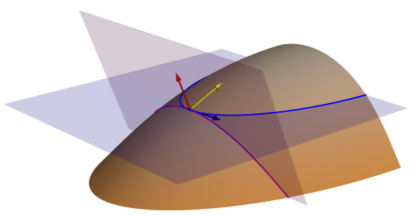 Piani di curvatura tangenziale e del piano (contorno proiettato)