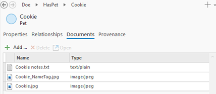 現在のエンティティに関連付けられたドキュメントは、ドキュメント タブに表示されます。
