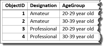 Designation フィールドと Age Group フィールドを使用して集計された入力レイヤー