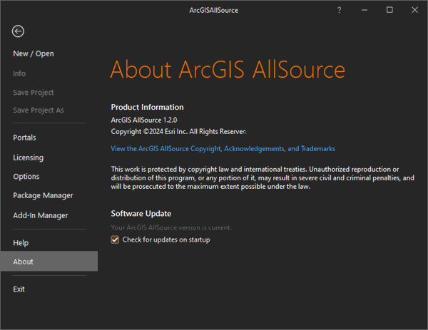 情報ページが選択された ArcGIS AllSource 設定