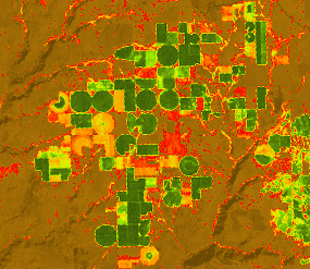 カラー化した NDVI の例