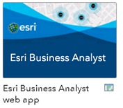 Business Analyst web app Business Analyst web app
