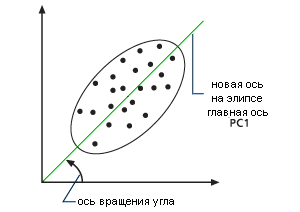 Первая главная компонента Первая главная компонента