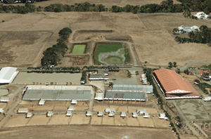 Пример слоя сцены облака точек Пример слоя сцены облака точек