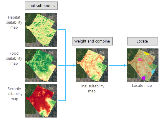 组合栖息地、食物和安全性子模型来创建最终适宜性和定位地图