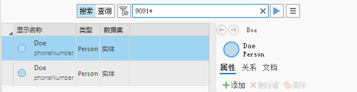 使用文本 9091* 的搜索返回了两个实体。 使用文本 9091* 的搜索返回了两个实体。