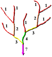 Shreve 河网分级方法 Shreve 河网分级方法