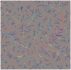 河网分级 河网分级