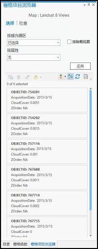 “栅格项目浏览器”窗格 -“选择”选项卡 “栅格项目浏览器”窗格 -“选择”选项卡