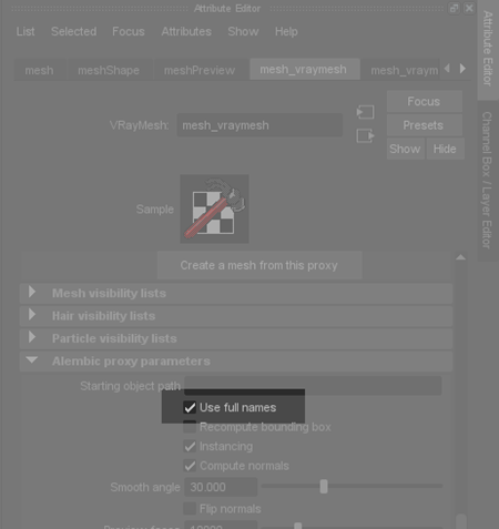 Maya 使用全名 Maya 使用全名