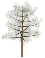 树模型组分割